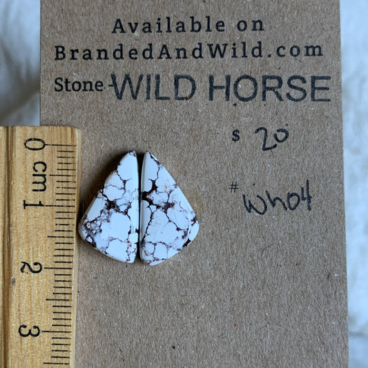 Wild Horse Cabochon - WH04