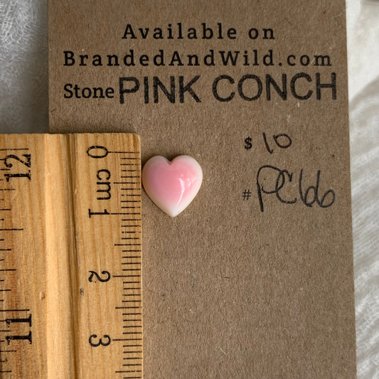 Pink Conch Cabochon - PC66