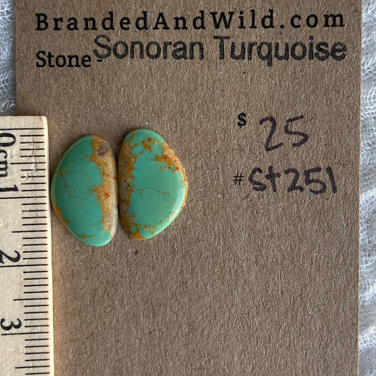 Sonoran Turquoise Cabochon - ST251