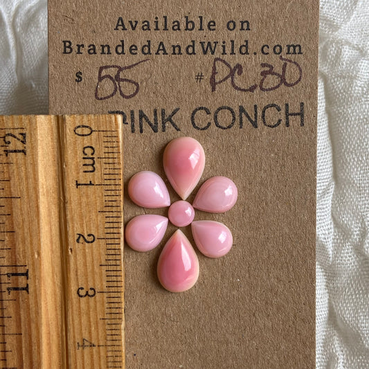Pink Conch Cabochon - PC30 54DC2A1F-0394-4D61-97C1-4B045D5FEC48 Brandedandwild.com