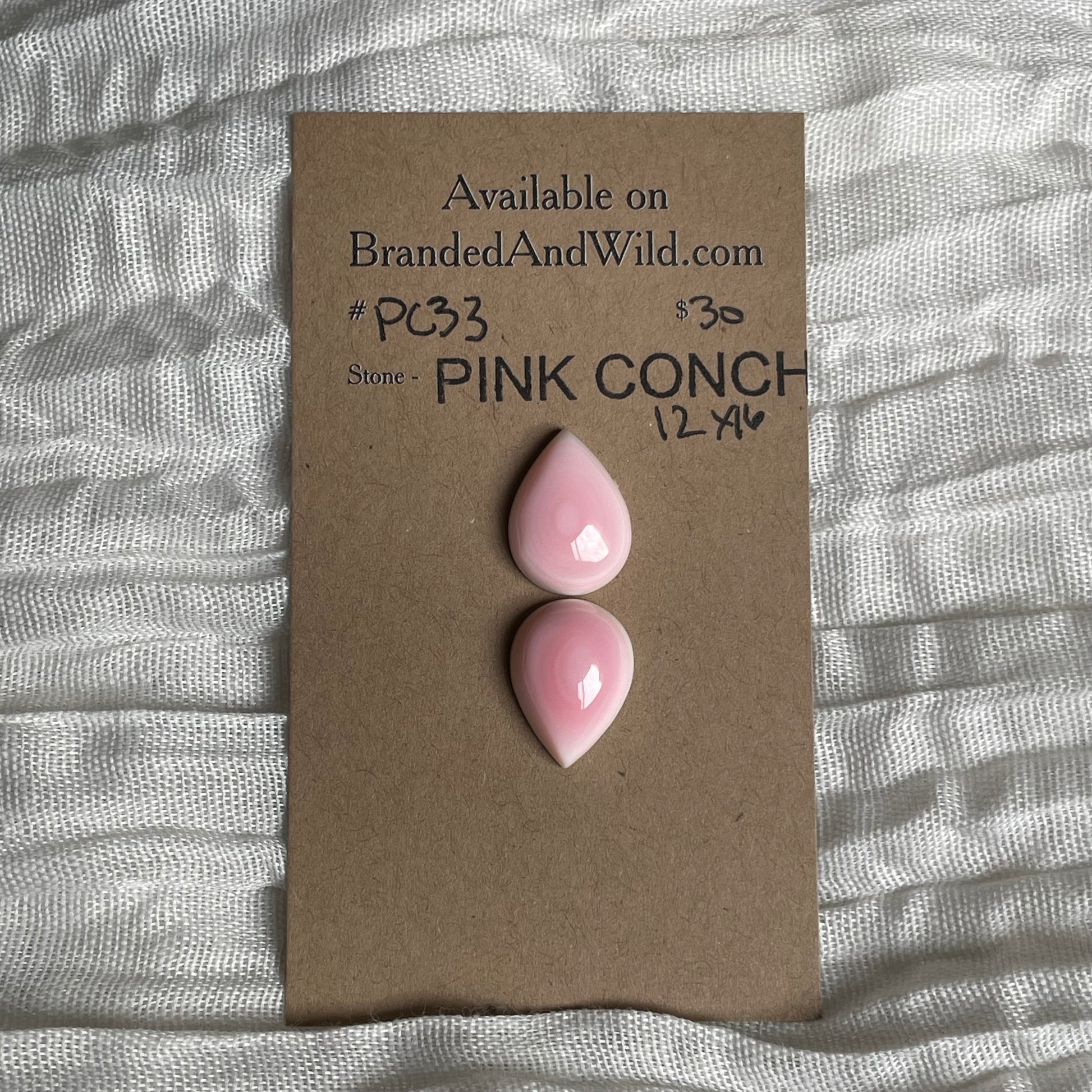 Pink Conch Cabochon - PC33 54F03A23-39A5-46F6-9AC0-3EF47891D770 Brandedandwild.com