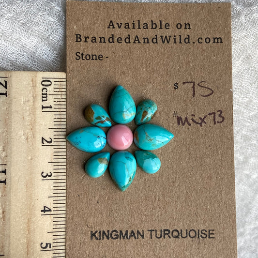 Pink Conch - Kingman Turquoise Cabochon - MIX73