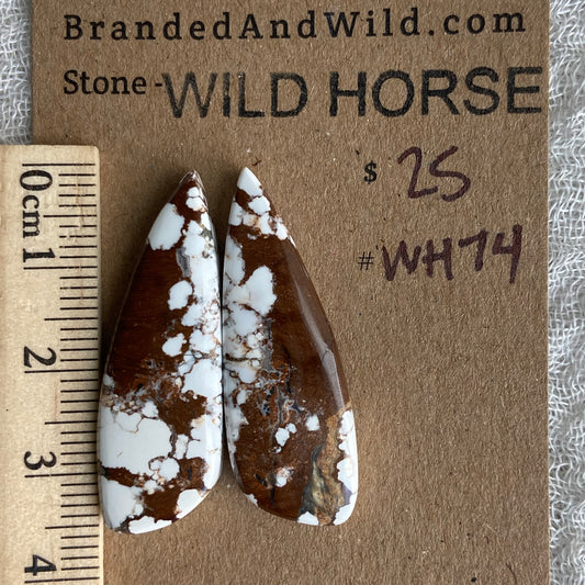 Wild Horse Cabochon - WH74