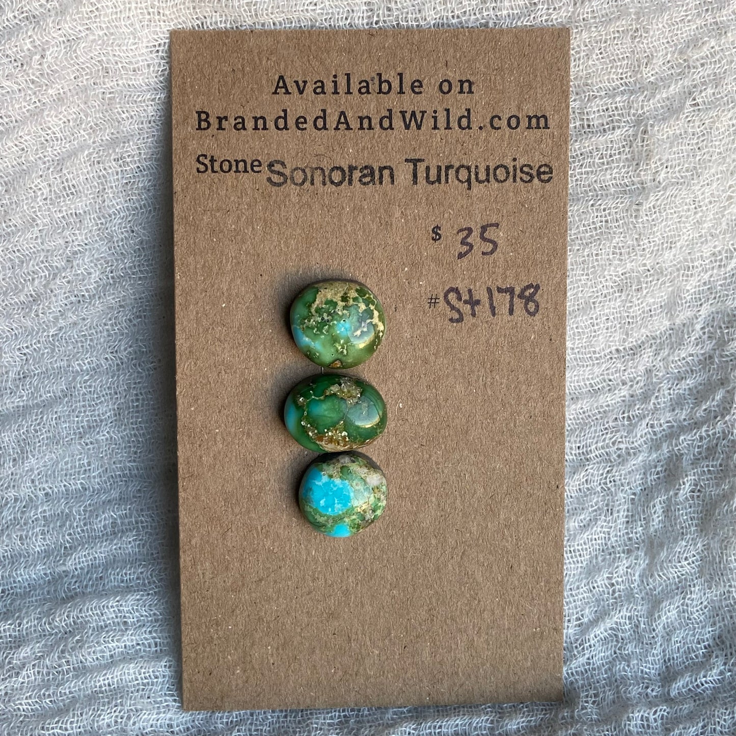 Sonoran Turquoise Cabochon - ST178
