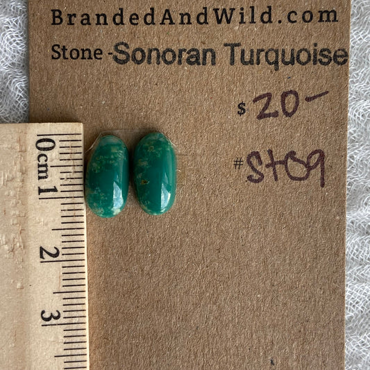 Sonoran Turquoise Cabochon - ST09