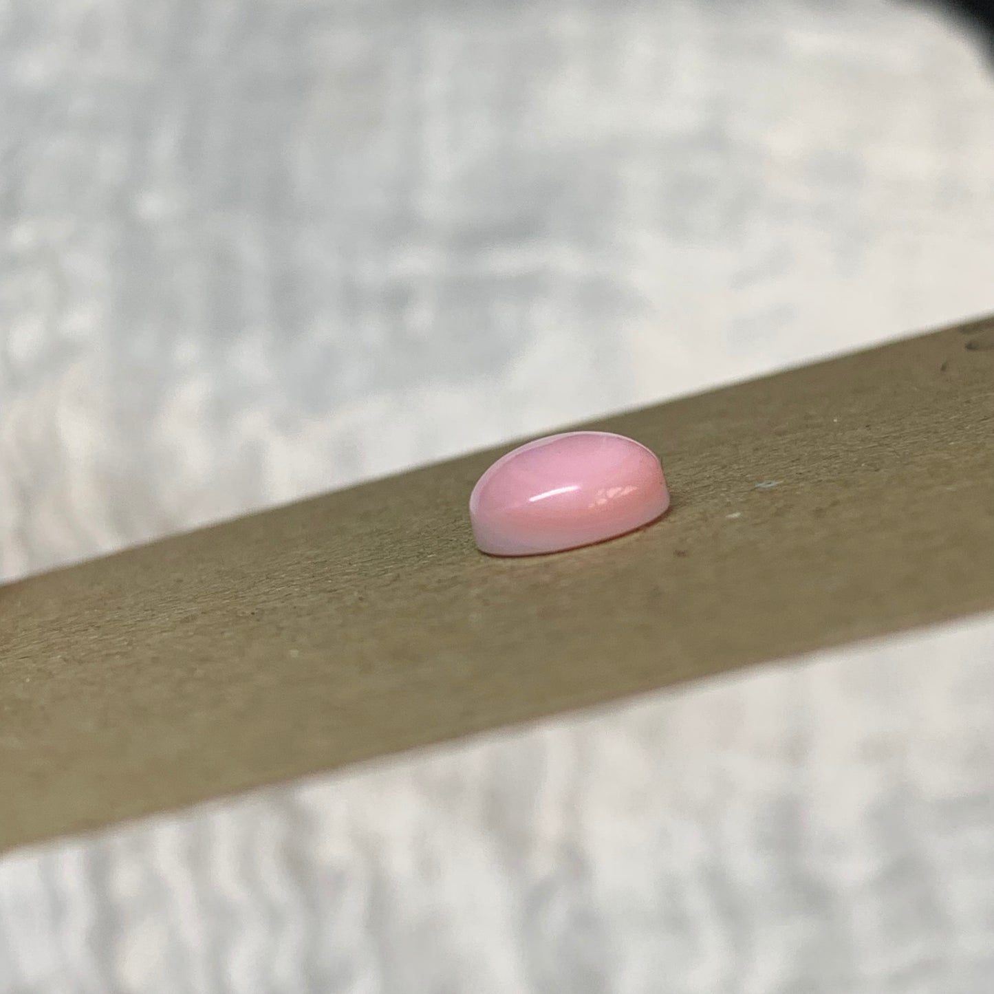 Pink Conch Cabochon - PCS020