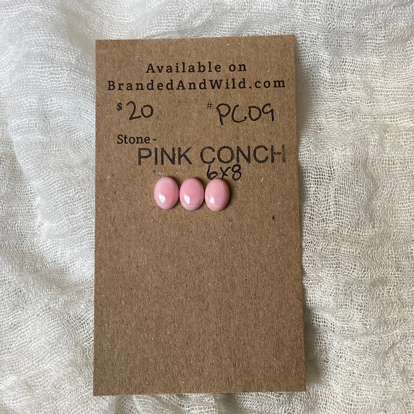 Pink Conch Cabochon - PC09 55988A9C-178B-47FF-8B90-0BD4A51EA78B Brandedandwild.com
