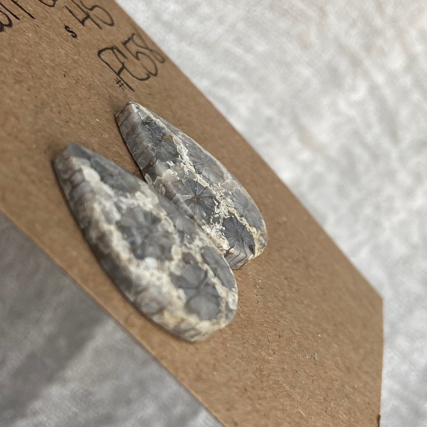 Fossil Coral Cabochon - FC58