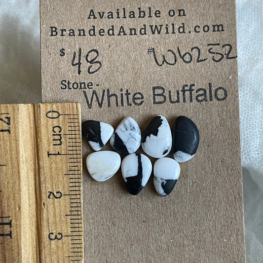 White Buffalo Cabochon - WB252