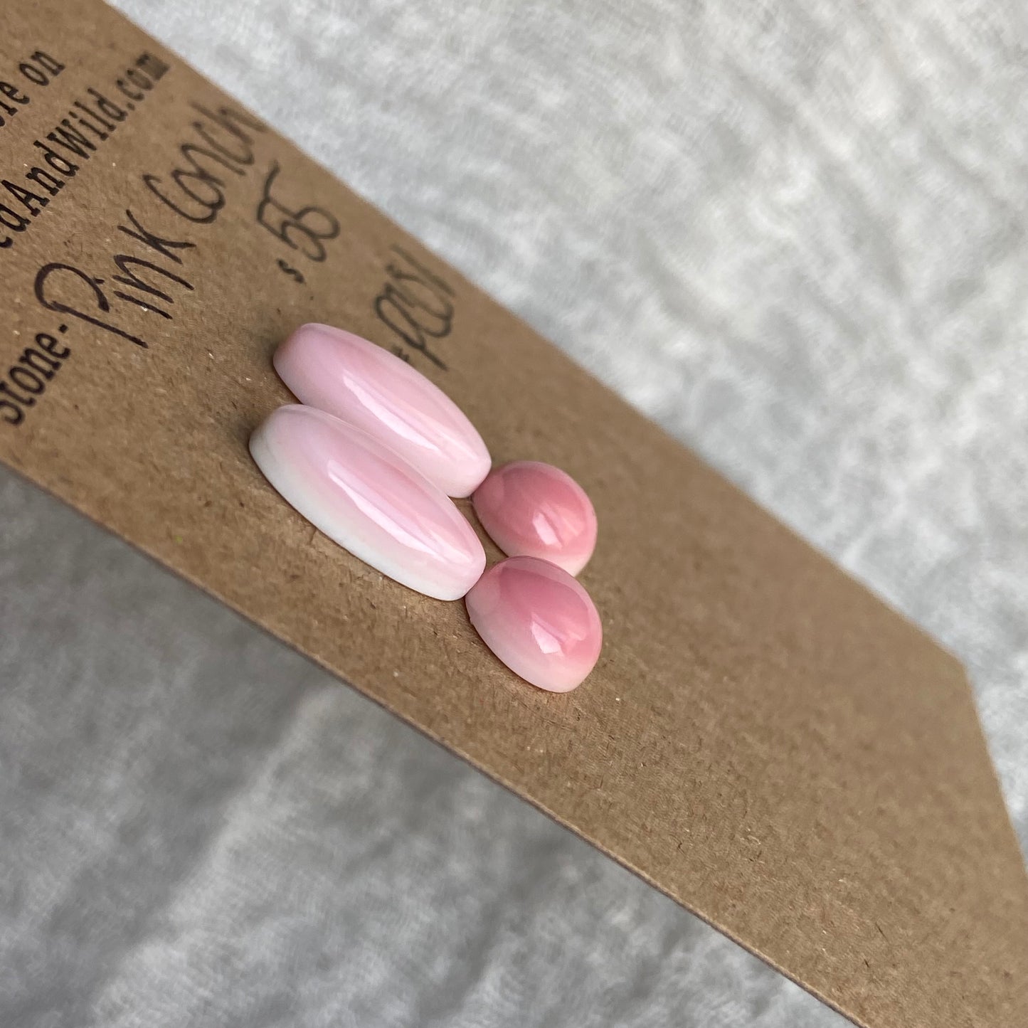 Pink Conch Cabochon - PC01