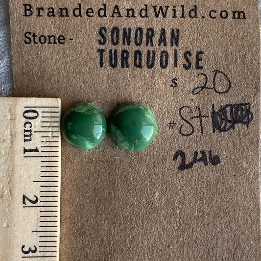 Sonoran Turquoise Cabochon - ST246
