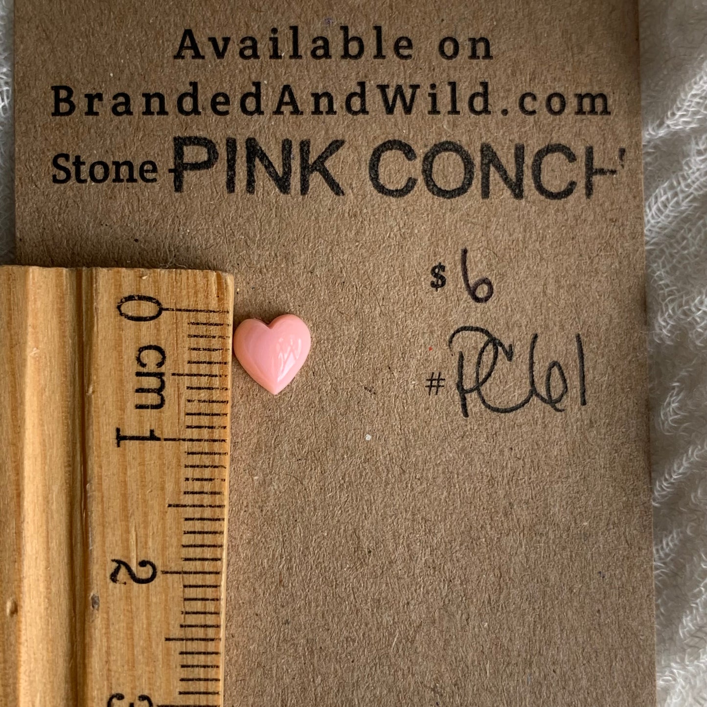 Pink Conch Cabochon - PC61