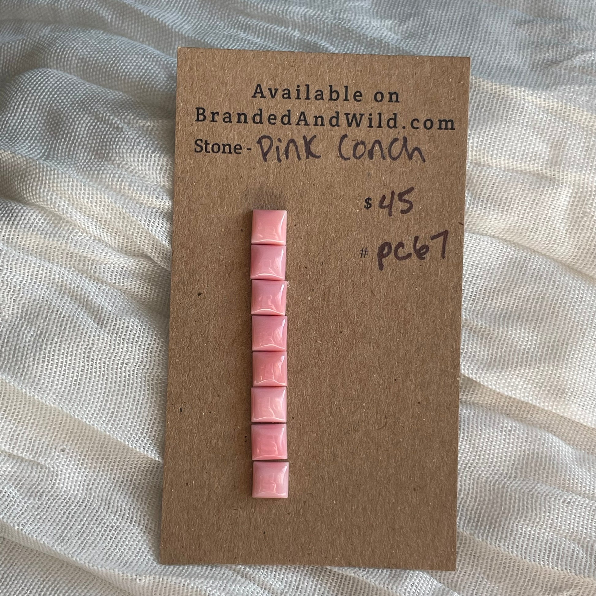 Pink Conch Cabochon - PC67 5667F7EE-8DF6-4F5F-8122-6BD78D19A4F2 Brandedandwild.com