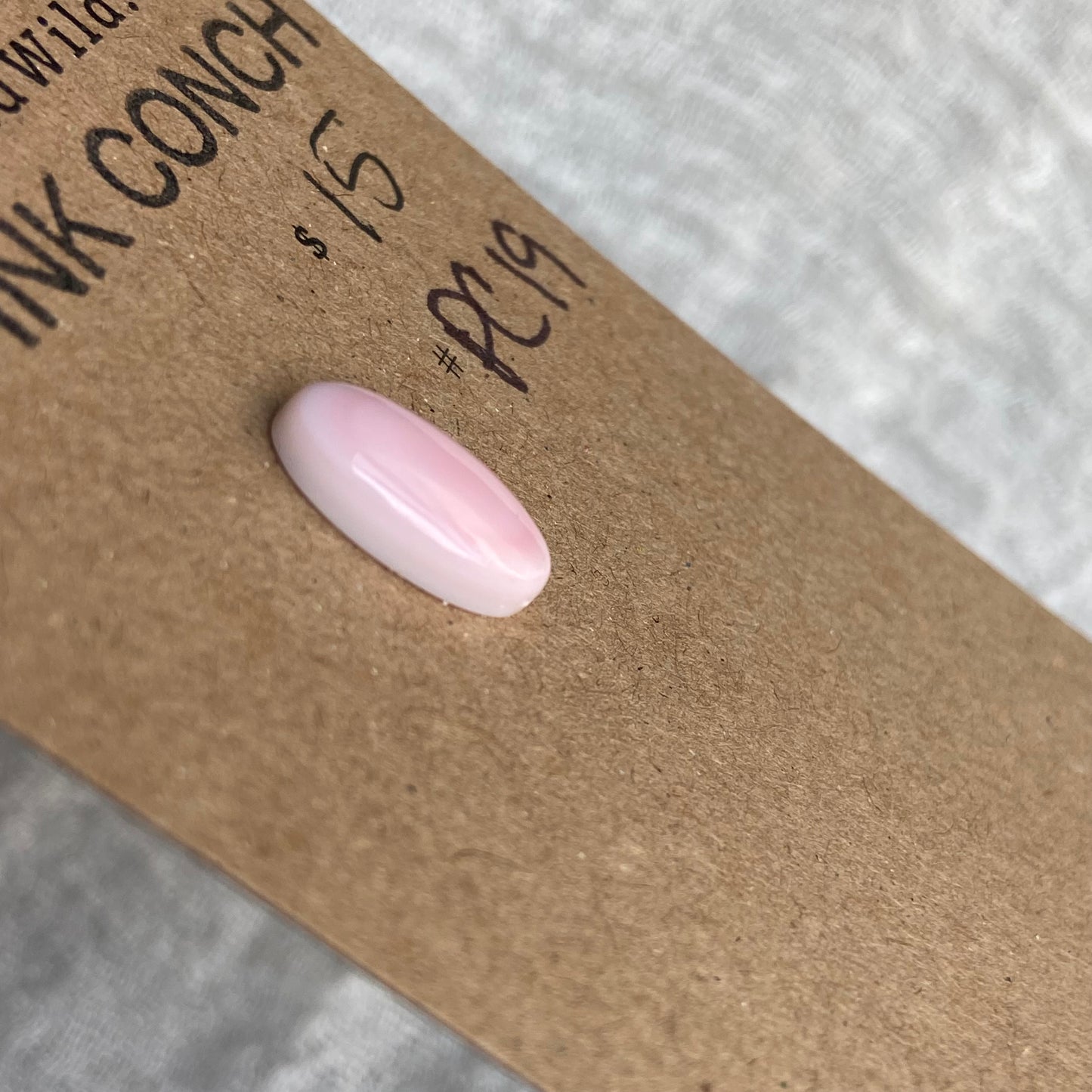 Pink Conch Cabochon - PC19