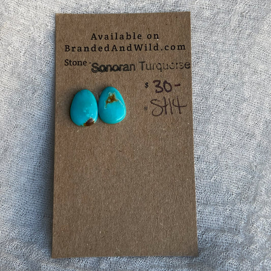 Sonoran Turquoise Cabochon - ST14