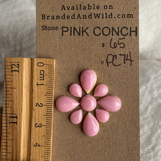 Pink Conch Cabochon - PC74