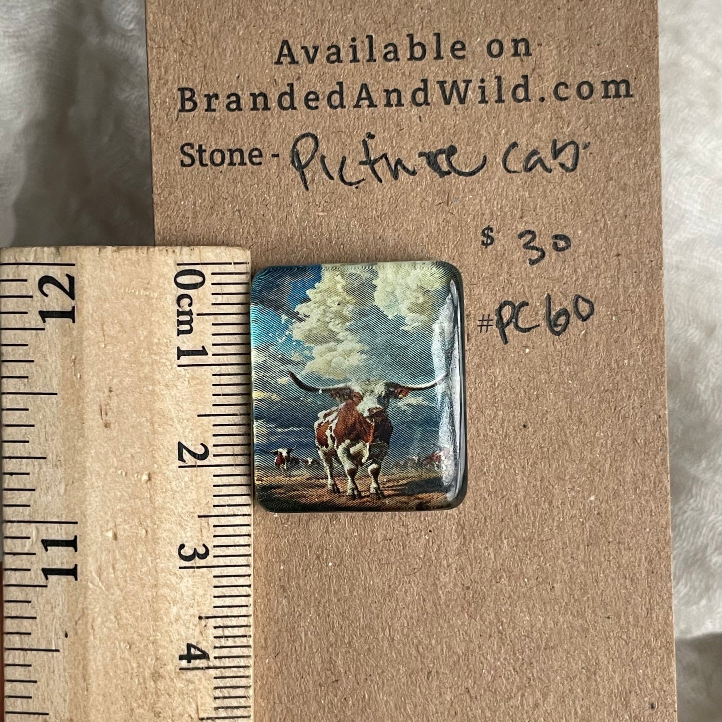 Picture Cabochon - Cabochon - PC60 56E6F9F7-034D-4EE9-879A-A6C923EC6788 Brandedandwild.com