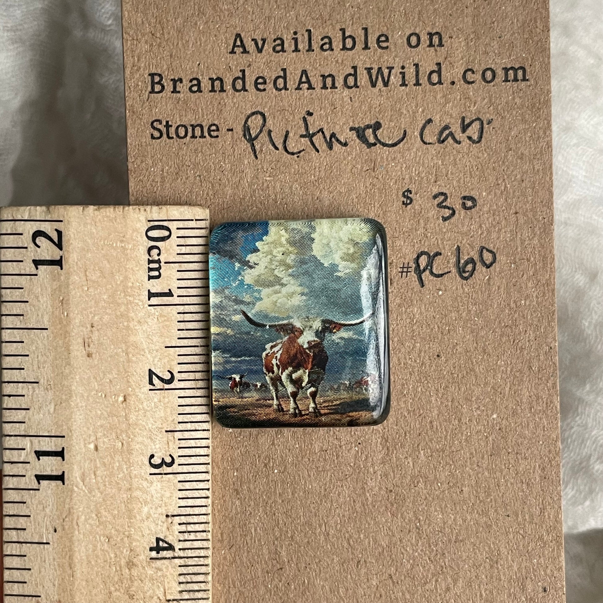 Picture Cabochon - Cabochon - PC60 56E6F9F7-034D-4EE9-879A-A6C923EC6788 Brandedandwild.com