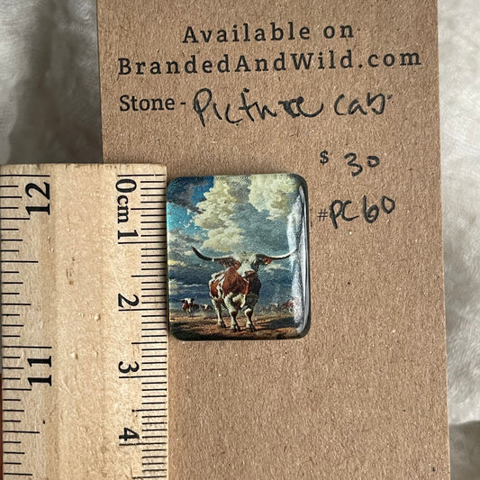 Picture Cabochon - Cabochon - PC60 56E6F9F7-034D-4EE9-879A-A6C923EC6788 Brandedandwild.com