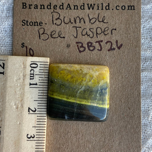 Bumblebee Jasper Cabochon - BBJ26