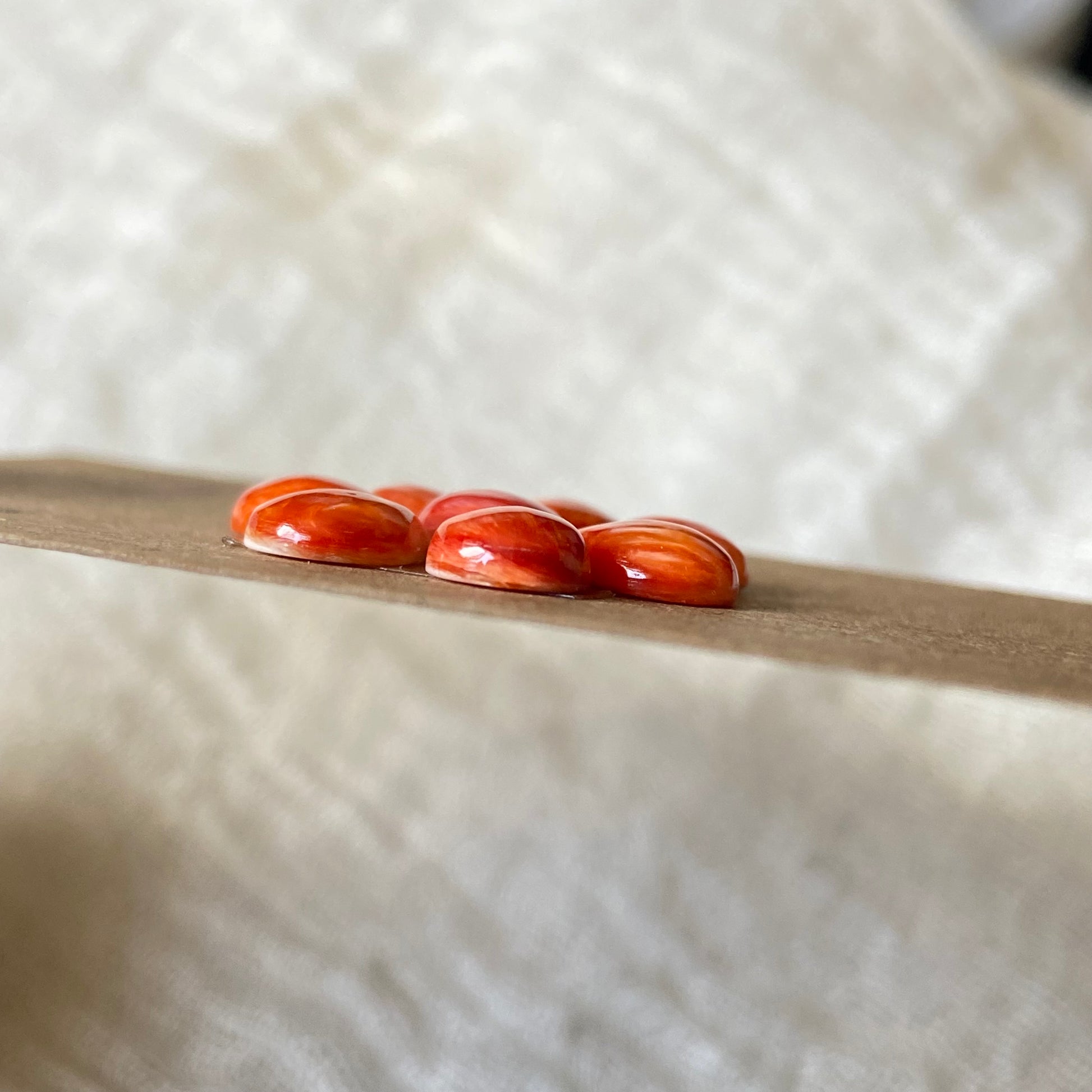 Oystershell Cabochon - OS49 571A2EEE-5E46-4D2F-BE9F-73FDF570ED1F Brandedandwild.com
