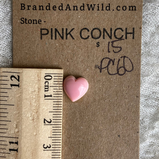 Pink Conch Cabochon - PC60