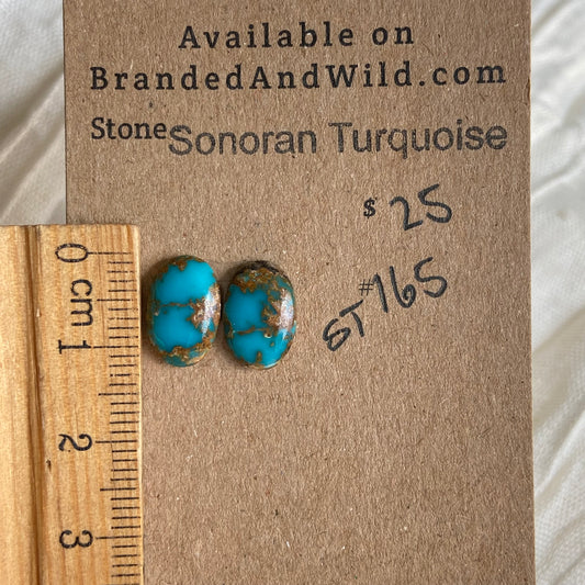 Sonoran Turquoise Cabochon - ST165 57212AE6-432A-47DC-B41A-BC59E71E990C Brandedandwild.com