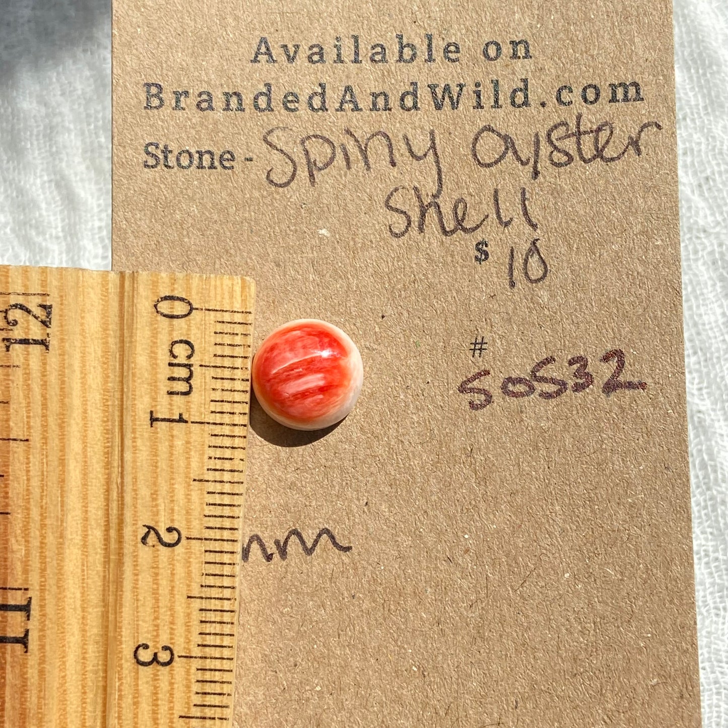 Spiny Oyster Shell Cabochon - SOS32