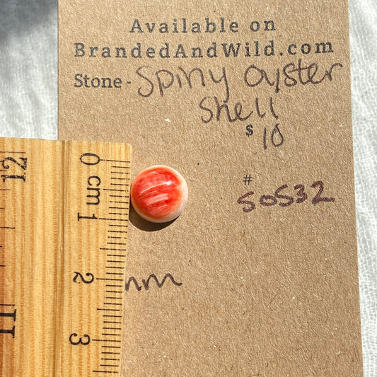 Spiny Oyster Shell Cabochon - SOS32