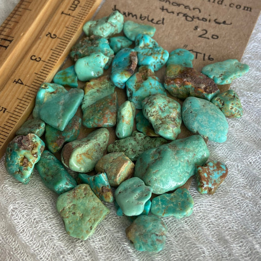 Rough Tumbled Sonoran Gold Turquoise - #ST16