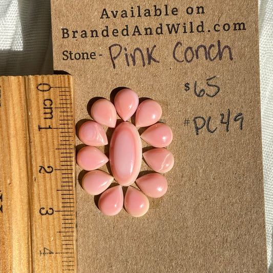 Pink Conch Cabochon - PC49 5777B099-4C39-47B2-9B7A-74DC2CBD1A68 Brandedandwild.com