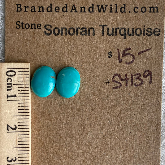 Sonoran Turquoise Cabochon - ST139