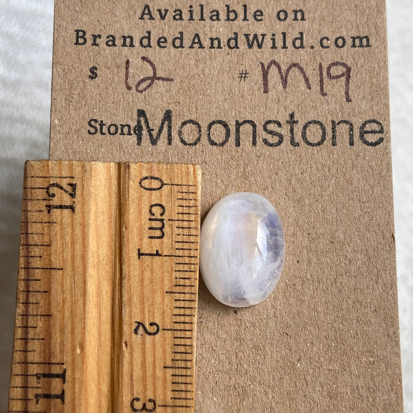 Moonstone Cabochon - M19