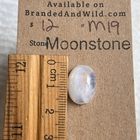 Moonstone Cabochon - M19 578B5390-CFC9-4432-9946-43200BB67E4E Brandedandwild.com