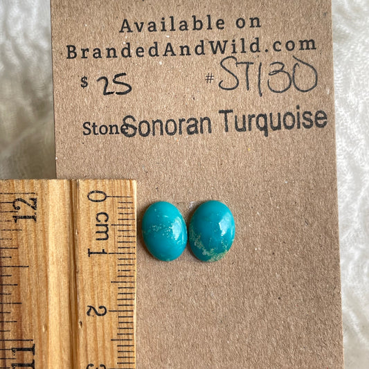 Sonoran Turquoise Cabochon - ST130 578F9338-1258-4DAB-B41A-E39F9B5EFDAB Brandedandwild.com