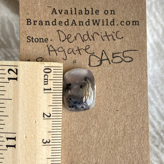 Dendritic Agate Cabochon - DA55