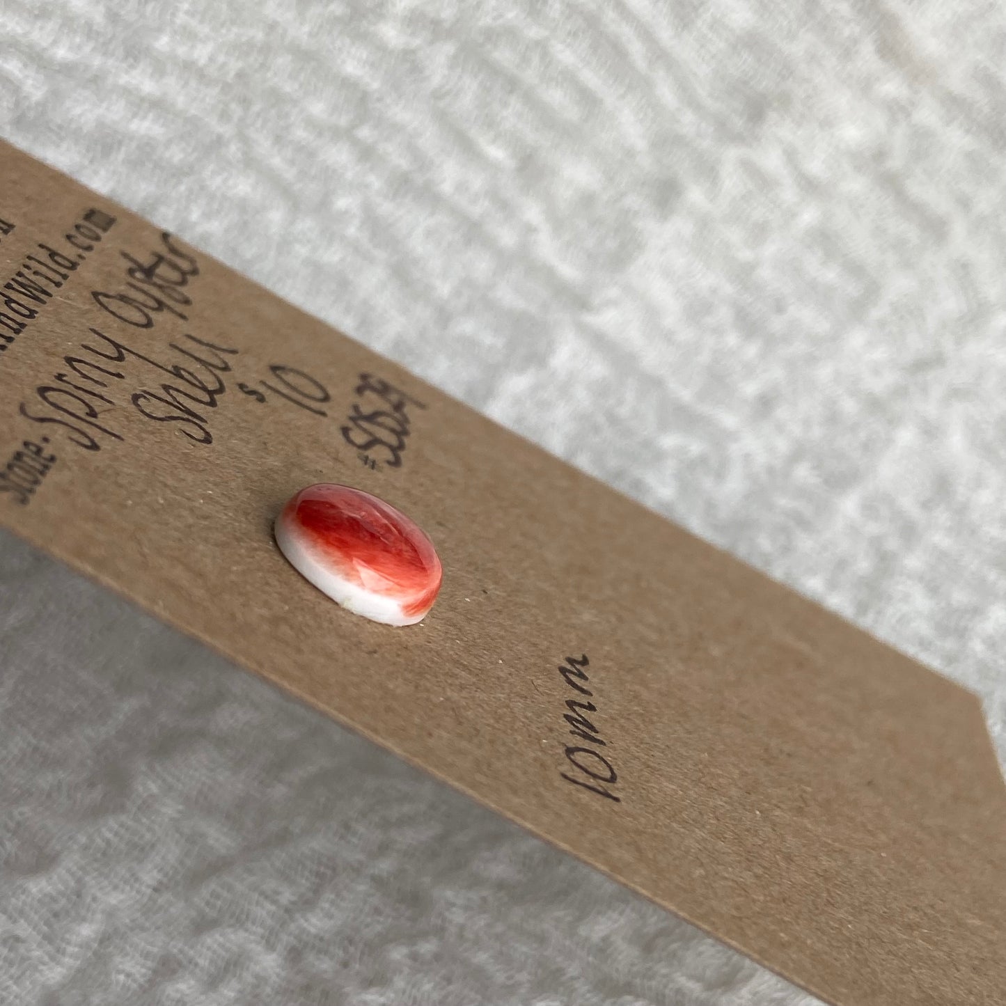 Spiny Oyster Shell Cabochon - SOS29