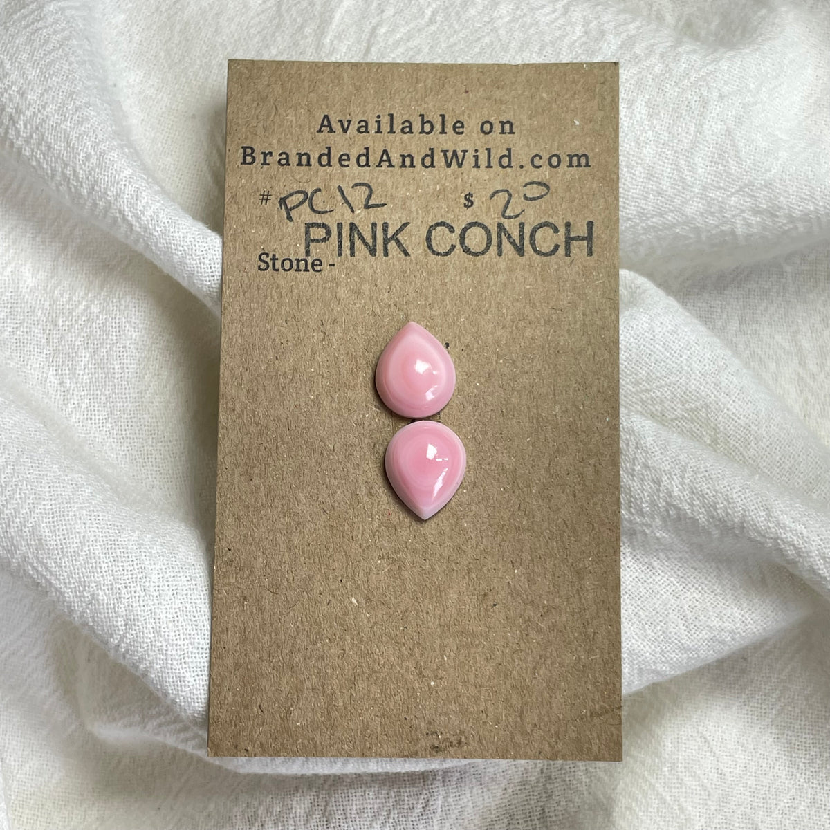 Pink Conch Cabochon - P012 57C808F3-0A77-4C8B-BBA1-5F747080E193 Brandedandwild.com