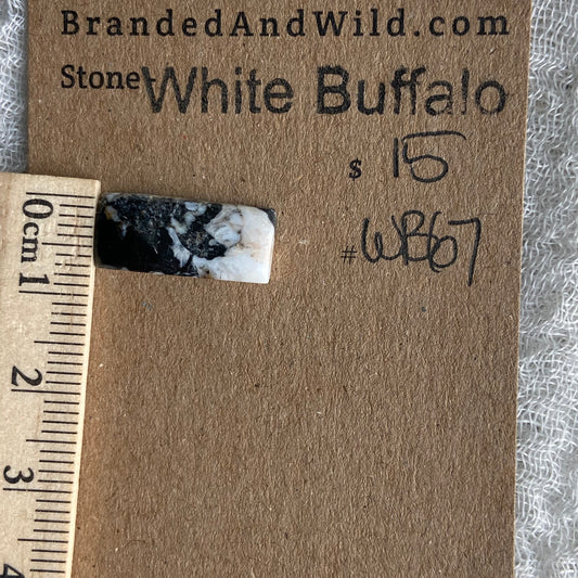 White Buffalo Cabochon - WB67
