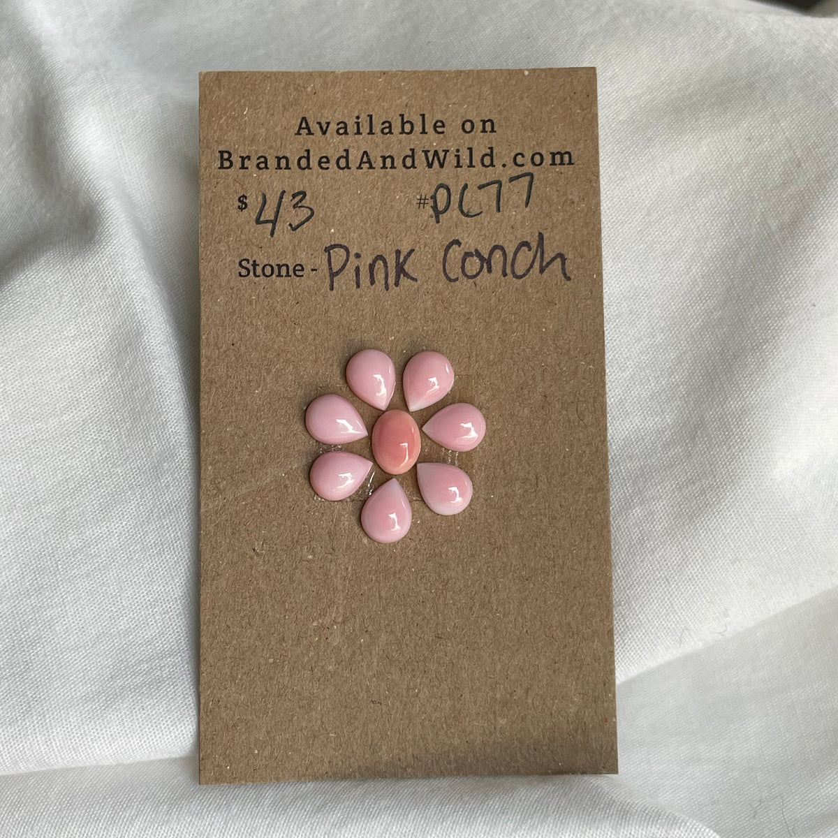 Pink Conch Cabochon - PC77 57FF80E6-4213-459E-B972-C498F6D6488E Brandedandwild.com