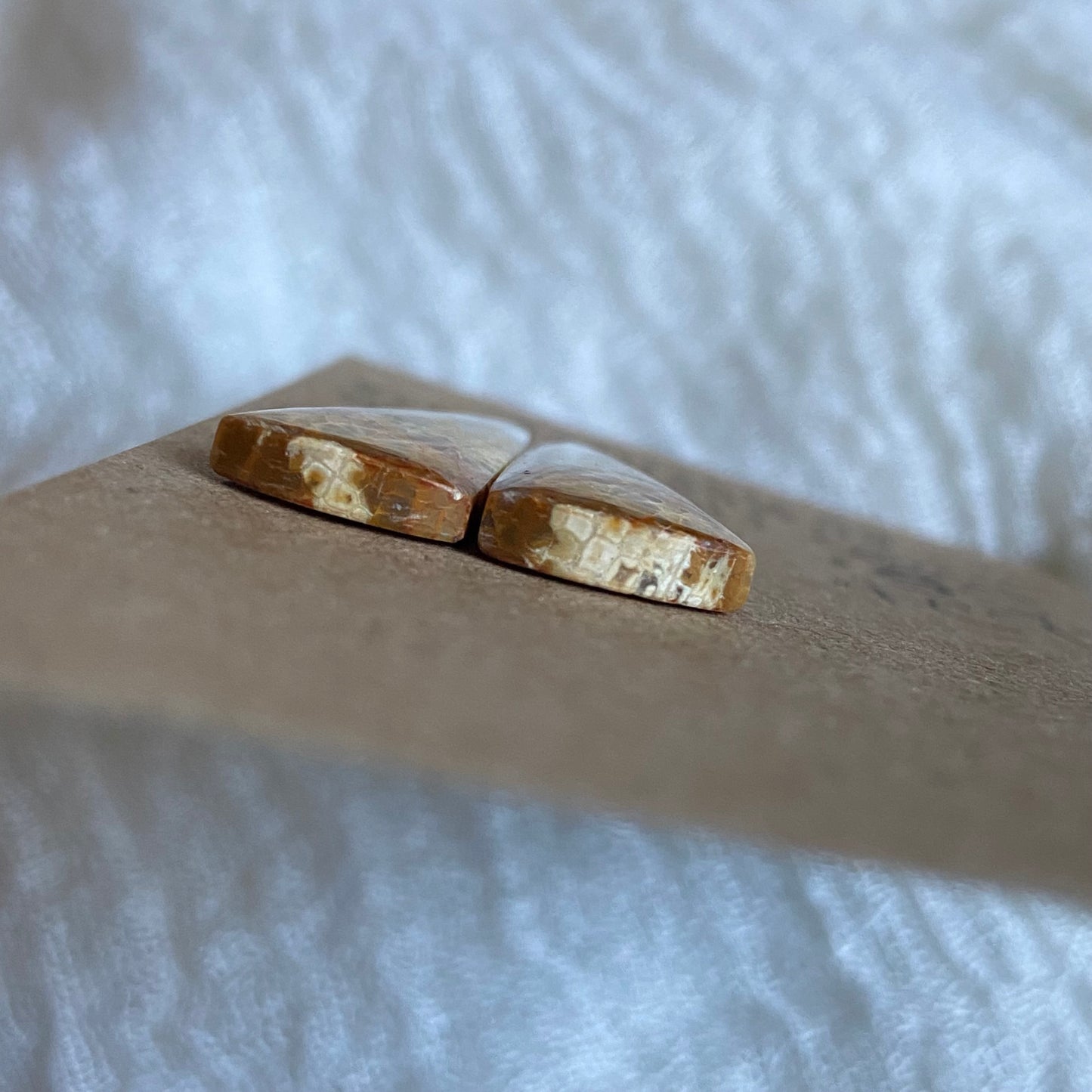 Fossil Coral Cabochon - FC92