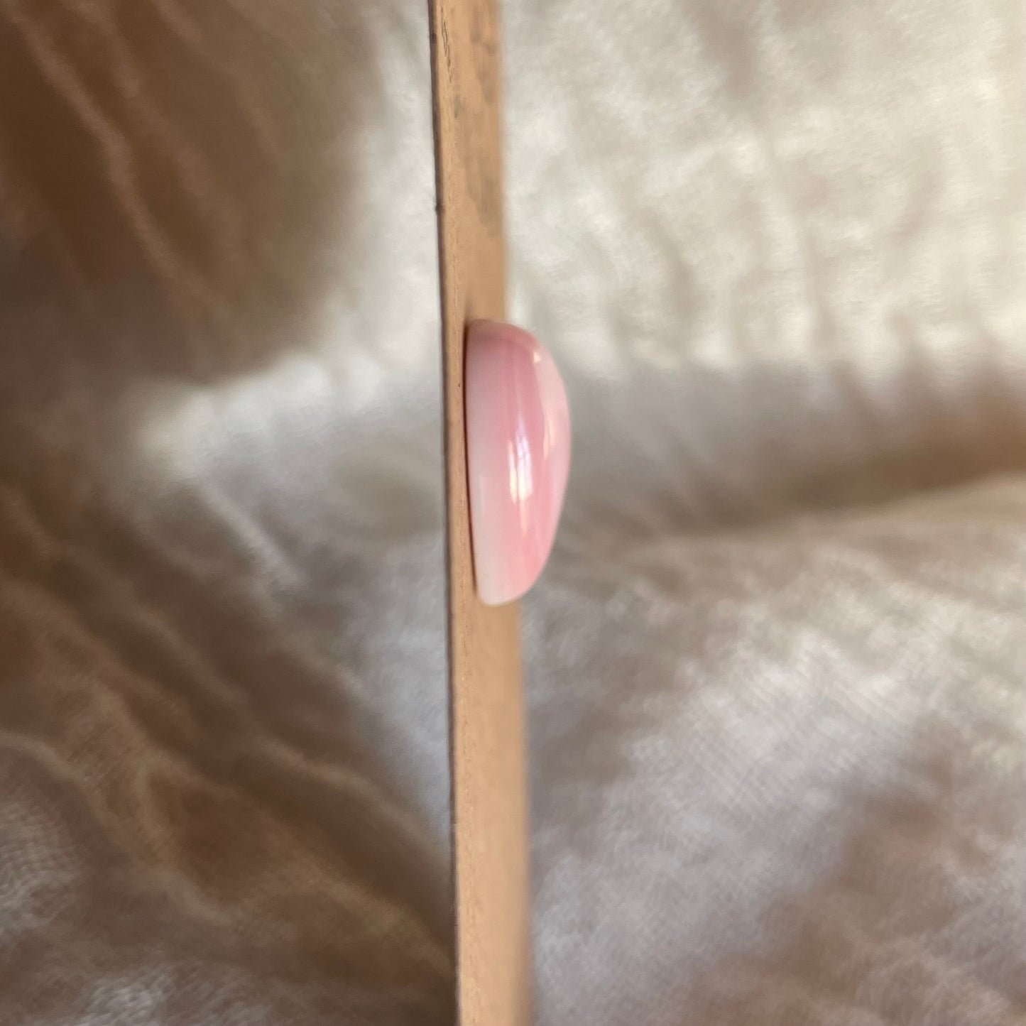 Pink Conch Cabochon - PC27 584A84B5-CA50-4BA5-A749-4C26C599A26B Brandedandwild.com