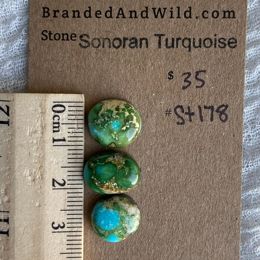 Sonoran Turquoise Cabochon - ST178