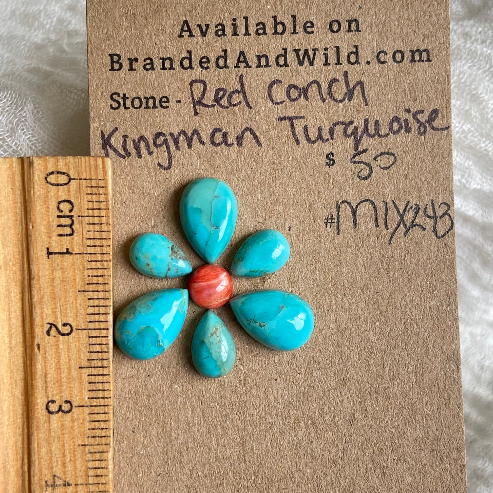 Red Conch / Kingman Cabochon - Mix243 589221B7-F4E4-4227-B8AC-74EF3C2C4346 Brandedandwild.com