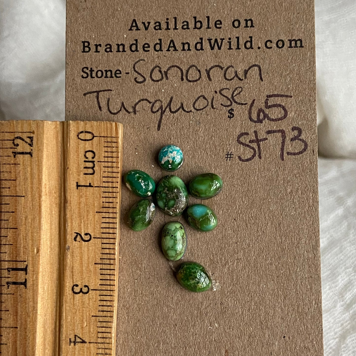 Sonoran Turquoise Cabochon - ST73