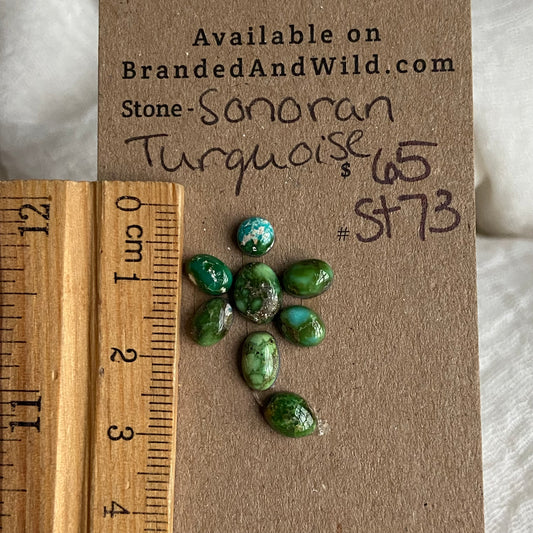 Sonoran Turquoise Cabochon - ST73