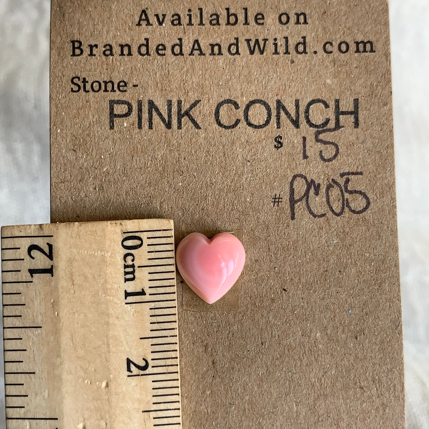 Pink Conch Cabochon - PC05