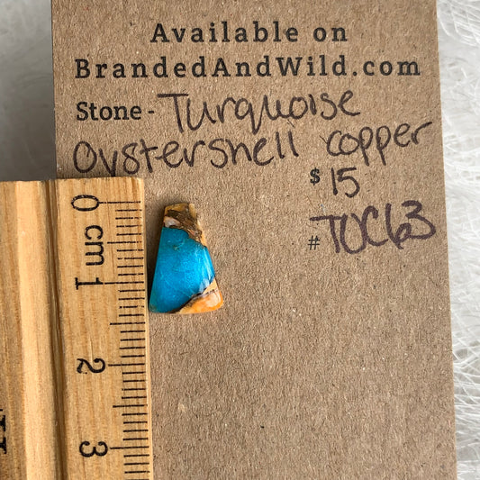 Turquoise, Oystershell, Copper Cabochon - TOC63