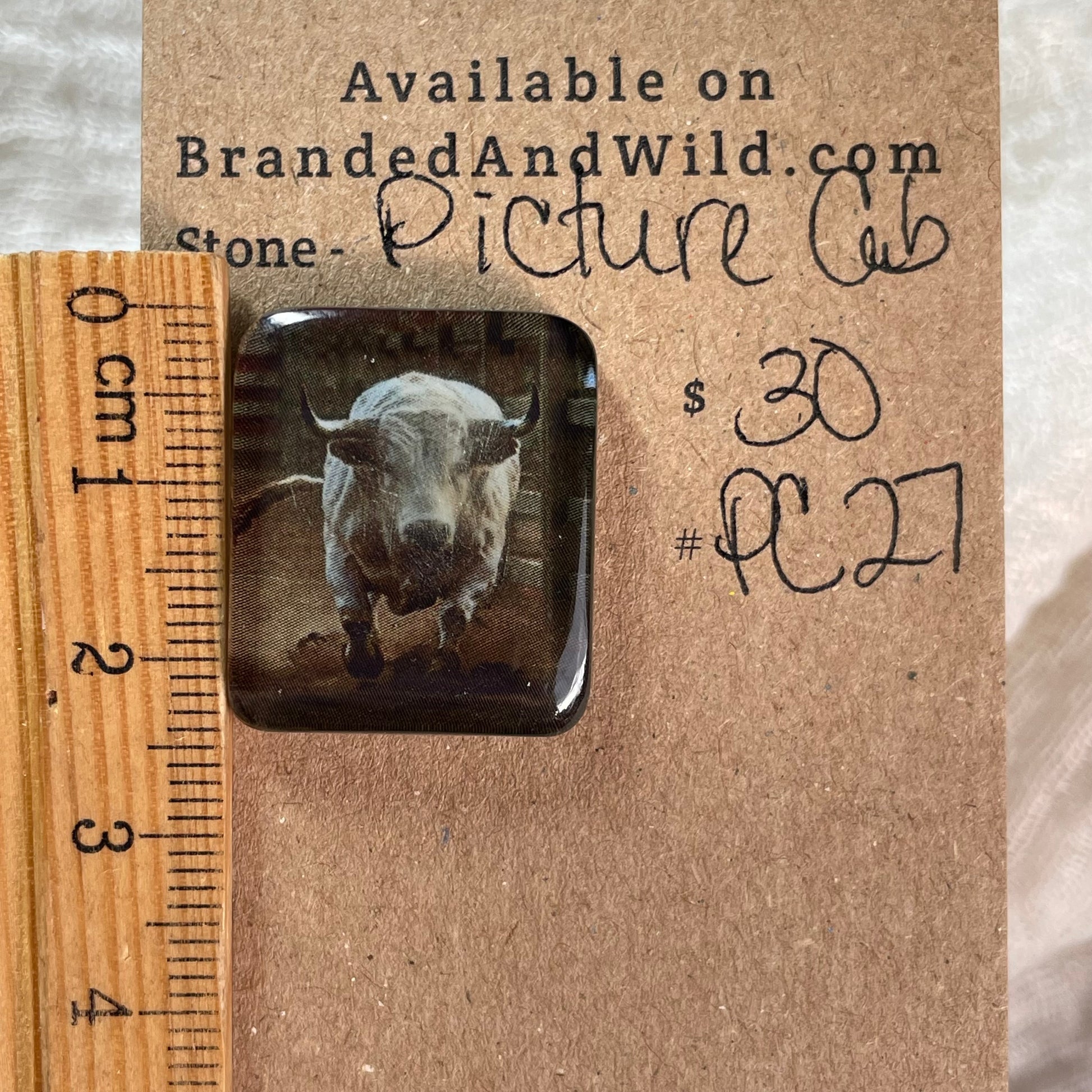 Picture Cabochon - Cabochon - PC27 59021C2F-09C8-40E8-BFF9-B333EE341D57 Brandedandwild.com