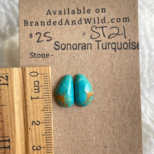 Sonoran Turquoise Cabochon - ST21 593BAA02-491F-4B3F-8BA2-E9194768E7BA Brandedandwild.com
